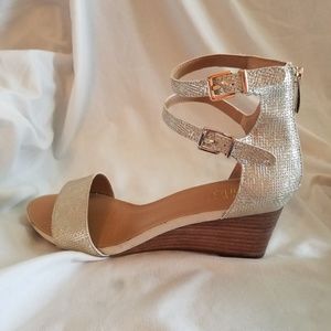 Silver Wedge Sandals